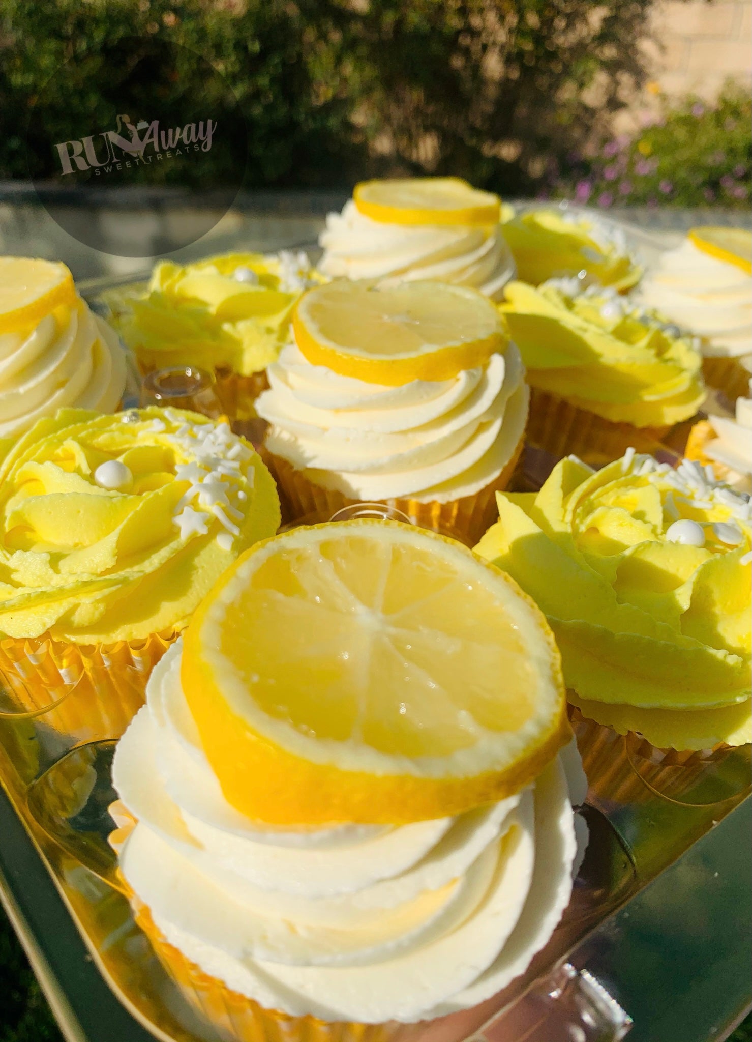 Lemon Cupcakes